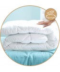 Antiallergén paplan 4 évszak 160x200